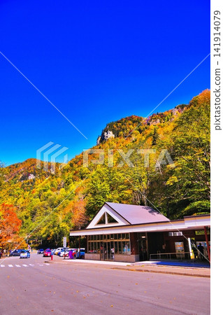 Autumn leaves at the Milky Way Meteor Waterfall Rest Area (Takimintara) Autumn leaves at the Milky Way Meteor Waterfall Rest Area (Takimintara) 141914079
