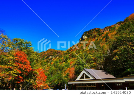 Autumn leaves at the Milky Way Meteor Waterfall Rest Area (Takimintara) Autumn leaves at the Milky Way Meteor Waterfall Rest Area (Takimintara) 141914080