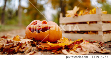 Traditional pumpkin as jack o'lantern, autumn fallen leaves lie on the park. Halloween greeting card 141914244