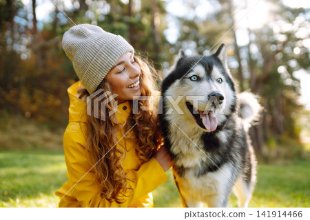 Woman with her husky dog walks in autumn forest. A cheerful pet spends time with its owner outdoors. Woman with her husky dog walks in autumn forest. A cheerful pet spends time with its owner outdoors. 141914466