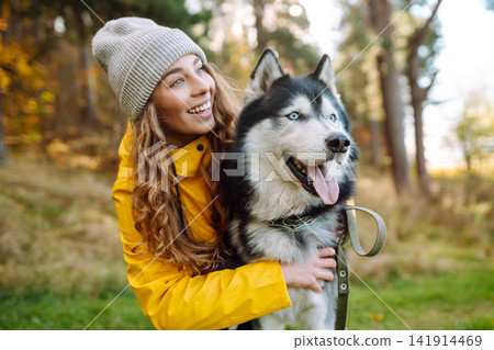 Woman with her husky dog walks in autumn forest. A cheerful pet spends time with its owner outdoors. Woman with her husky dog walks in autumn forest. A cheerful pet spends time with its owner outdoors. 141914469