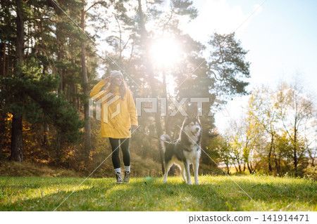 Woman with her husky dog walks in autumn forest. A cheerful pet spends time with its owner outdoors. Woman with her husky dog walks in autumn forest. A cheerful pet spends time with its owner outdoors. 141914471