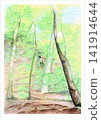 Catching insects in the forest (illustration) 141914644
