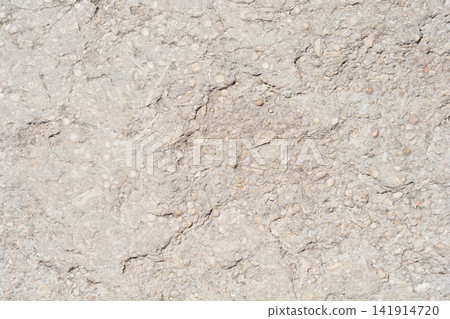 Rough weathered natural stone surface with fossil shells texture Rough weathered natural stone surface with fossil shells texture 141914720
