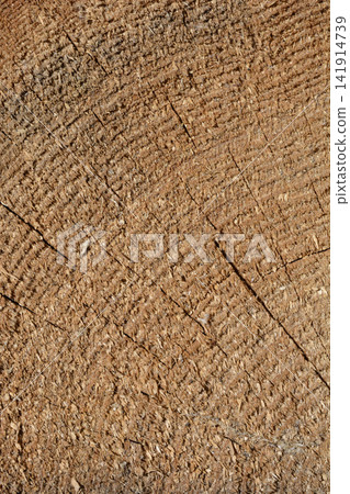 Rough texture of a cut wooden log background Rough texture of a cut wooden log background 141914739