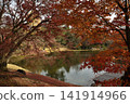Kyoto Sento Imperial Palace: North Pond and Maple Trees (Kamigyo Ward, Kyoto City) 141914966