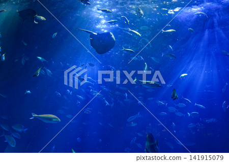 Sea paradise Sea paradise 141915079