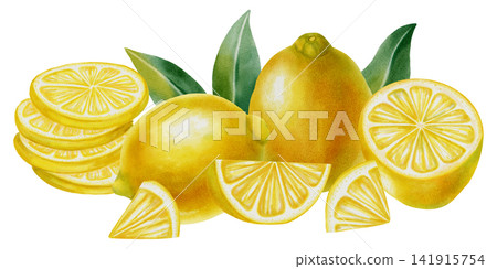 Hand-drawn watercolor set of lemons, half fruit, slice, and twisted lemon peel on white background. Summer botanical illustration is perfect for fabric, wallpaper, packaging, and kitchen decor, menu Hand-drawn watercolor set of lemons, half fruit, slice, and twisted lemon peel on white background. Summer botanical illustration is perfect for fabric, wallpaper, packaging, and kitchen decor, menu 141915754