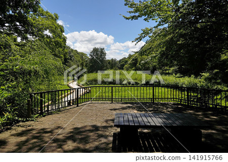 Jindai Botanical Garden Aquatic Plant Garden Jindai Botanical Garden Aquatic Plant Garden 141915766