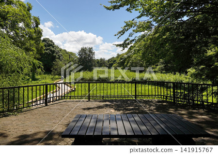 Jindai Botanical Garden Aquatic Plant Garden Jindai Botanical Garden Aquatic Plant Garden 141915767