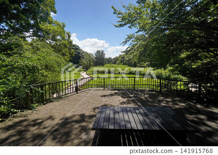 金代植物園水生植物園 金代植物園水生植物園 141915768