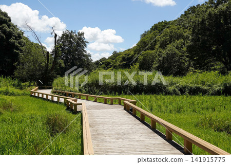 Jindai Botanical Garden Aquatic Plant Garden Jindai Botanical Garden Aquatic Plant Garden 141915775
