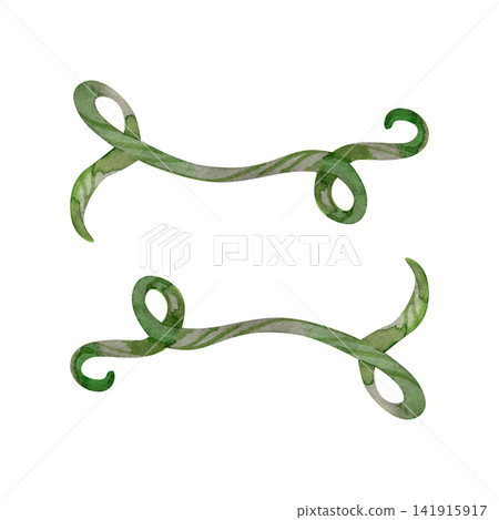 Watercolor curled green vine tendrils with swirls decorative jungle flourish set Watercolor curled green vine tendrils with swirls decorative jungle flourish set 141915917
