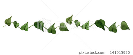 Watercolor trailing ivy vine with green heart shaped leaves horizontal jungle border Watercolor trailing ivy vine with green heart shaped leaves horizontal jungle border 141915930