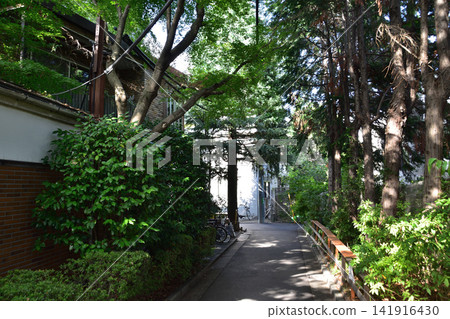 世田谷大田市白須鎮泡芙工坊前的道路 世田谷大田市白須鎮泡芙工坊前的道路 141916430