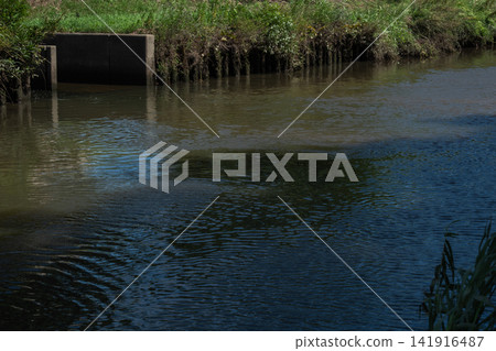 A landscape featuring a riverbank overgrown with green grass, flowing water, and concrete structures. A landscape featuring a riverbank overgrown with green grass, flowing water, and concrete structures. 141916487