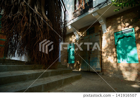 Historic brick courtyard in dappled sunlight featuring a weathered wooden door, teal shutters and dramatic hanging aerial tree roots that create a moody, textured architectural scene. Historic brick courtyard in dappled sunlight featuring a weathered wooden door, teal shutters and dramatic hanging aerial tree roots that create a moody, textured architectural scene. 141916507
