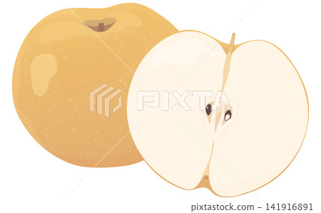 A realistic illustration of a pear and its cross-section. A realistic illustration of a pear and its cross-section. 141916891