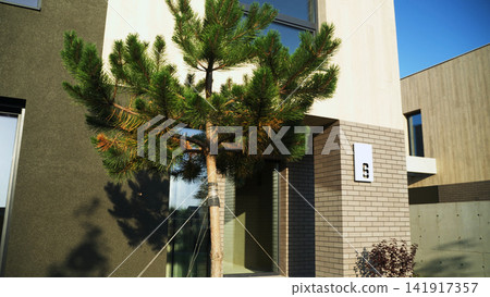 Modern residential house exterior with pine tree creating shade on contemporary facade, suburban living architecture Modern residential house exterior with pine tree creating shade on contemporary facade, suburban living architecture 141917357