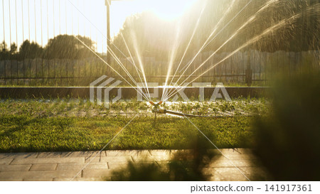 Garden sprinkler watering green grass at golden sunset with radiant water streams for irrigation and growth Garden sprinkler watering green grass at golden sunset with radiant water streams for irrigation and growth 141917361