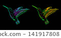 Fantasy outline colibri in neon colors 141917808