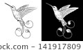 Flying hummingbird with curly tail feathers 141917809