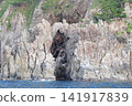 Scenery around Candle Island in Okinoshima Town 141917839
