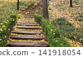 Stone Stairs Covered with Autumn Leaves in Park Pathway 141918054