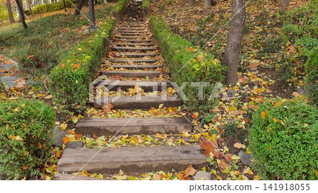 Stone Stairs Covered with Autumn Leaves in Park Pathway Stone Stairs Covered with Autumn Leaves in Park Pathway 141918055