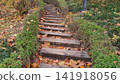Stone Stairs Covered with Autumn Leaves in Park Pathway 141918056