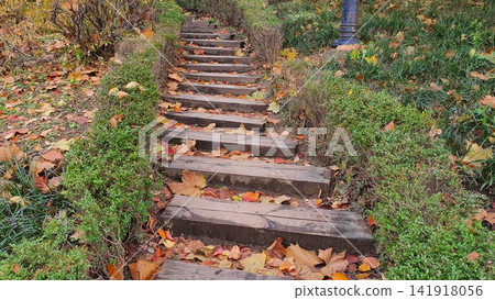 Stone Stairs Covered with Autumn Leaves in Park Pathway Stone Stairs Covered with Autumn Leaves in Park Pathway 141918056