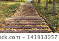 Stone Stairs Covered with Autumn Leaves in Park Pathway 141918057