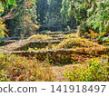 Traditional Jeju Island Tomb Surrounded by Basalt Stone Wall in Forest 141918497