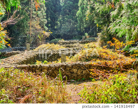 Traditional Jeju Island Tomb Surrounded by Basalt Stone Wall in Forest Traditional Jeju Island Tomb Surrounded by Basalt Stone Wall in Forest 141918497
