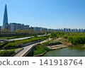 Han River Park Promenade and Lush Greenery in Seoul 141918764