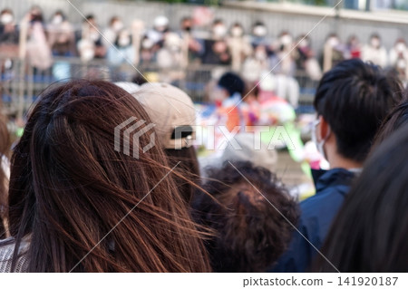 Festive scenery Festive scenery 141920187