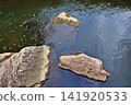 Colorful River Stones Submerged in Rippling Water. 141920533