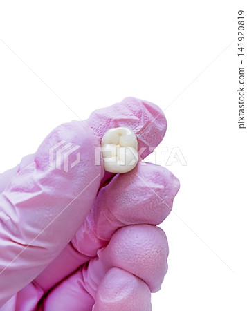Dentist holds a white dental crown in a pink glove, isolated on black background. Prosthetic tooth for restorative dentistry, prosthodontics, dental treatment, repair, laboratory and oral health care. Dentist holds a white dental crown in a pink glove, isolated on black background. Prosthetic tooth for restorative dentistry, prosthodontics, dental treatment, repair, laboratory and oral health care. 141920819