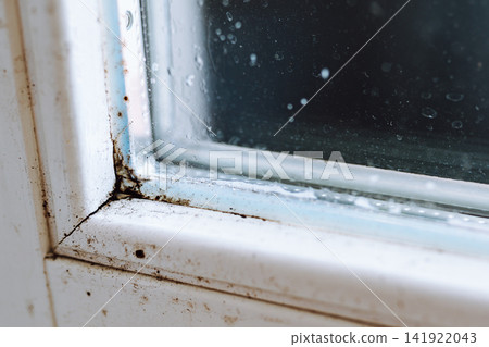 Black mold on window silicone sealant Black mold on window silicone sealant 141922043