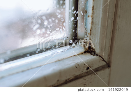 Black mold on window silicone sealant Black mold on window silicone sealant 141922049