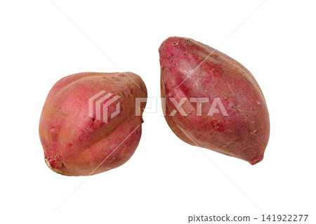 A plump, round, and delicious-looking sweet potato A plump, round, and delicious-looking sweet potato 141922277