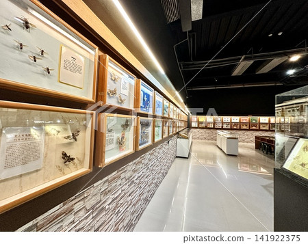 Chiayi (Xinjia University Insect Museum) Chiayi (Xinjia University Insect Museum) 141922375