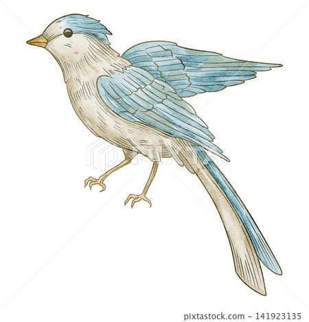 Bird watercolor illustration. Blue songbird isolated on background. Decorative avian element for botanical compositions, nursery posters, vintage artwork and greeting cards in pastel colors. Bird watercolor illustration. Blue songbird isolated on background. Decorative avian element for botanical compositions, nursery posters, vintage artwork and greeting cards in pastel colors. 141923135