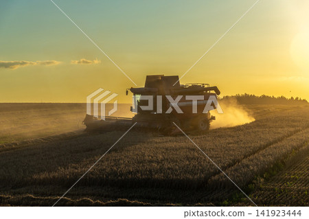 A combine harvester works on a golden wheat field A combine harvester works on a golden wheat field 141923444