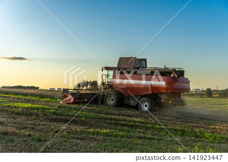 A red combine harvester works in a harvested grain field at sunset A red combine harvester works in a harvested grain field at sunset 141923447