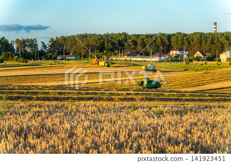Agricultural machinery including trucks, a tractor, and a combine harvester Agricultural machinery including trucks, a tractor, and a combine harvester 141923451