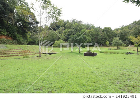 A park landscape with a grassy area and trees, and lush green resting spaces. A park landscape with a grassy area and trees, and lush green resting spaces. 141923491