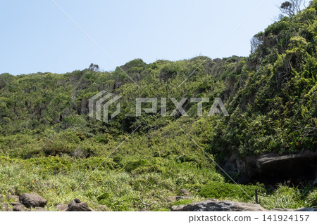 The scenery of the cape of Jogashima Coast, with its blue sky and green grasslands stretching out before you. The scenery of the cape of Jogashima Coast, with its blue sky and green grasslands stretching out before you. 141924157