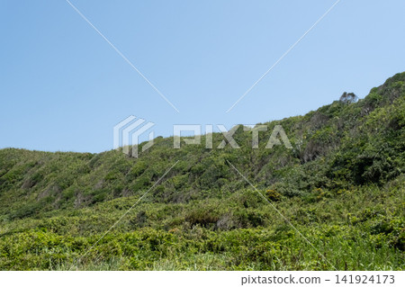 The scenery of the cape of Jogashima Coast, with its blue sky and green grasslands stretching out before you. The scenery of the cape of Jogashima Coast, with its blue sky and green grasslands stretching out before you. 141924173