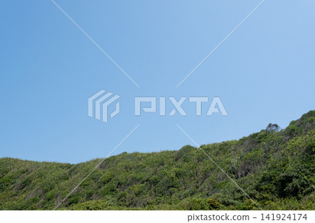城島海岸的景色,藍天綠草盡收眼底。 城島海岸的景色,藍天綠草盡收眼底。 141924174